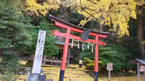 岩戸落葉神社の鳥居