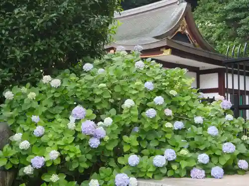 瀧泉寺（目黒不動尊）の自然