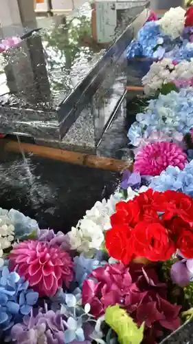 新琴似神社の手水