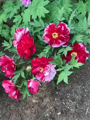 薬師院(兵庫県)