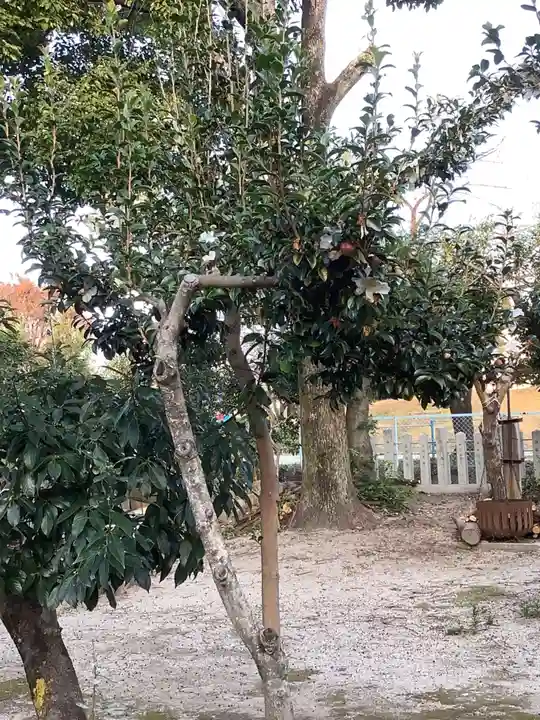 御嶽神社(林島町)の自然