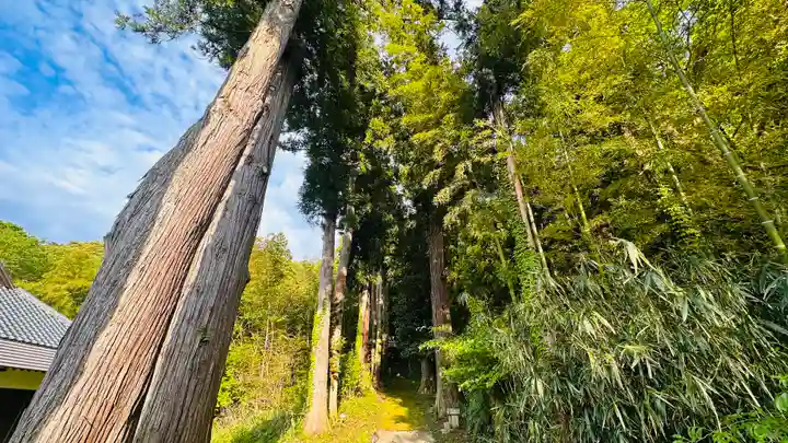 前川神社(福井県)