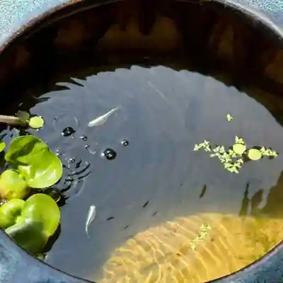 伊勢の国 四天王寺(三重県)