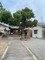 熊野神社(愛知県)