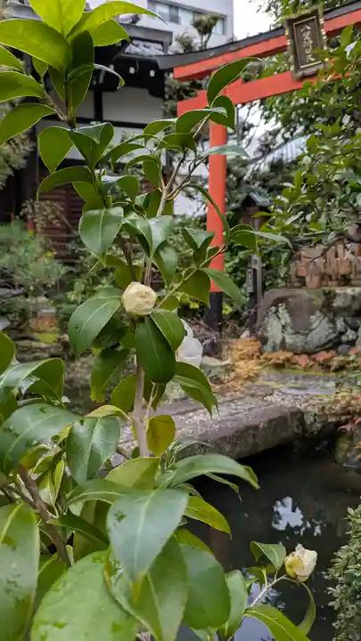 宝蔵寺(京都府)