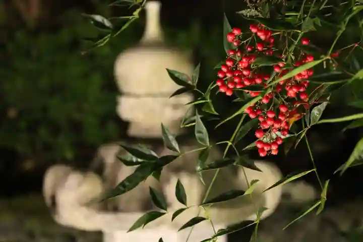 正寿院(京都府)
