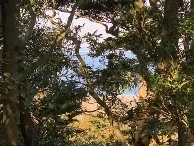 神社(名称不明)(千葉県)