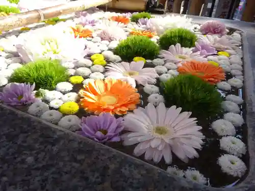 高円寺氷川神社の手水舎