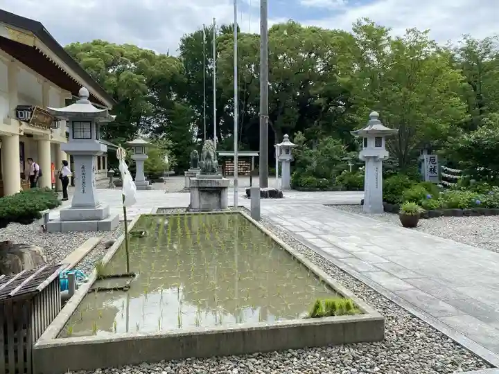 愛知縣護國神社の自然