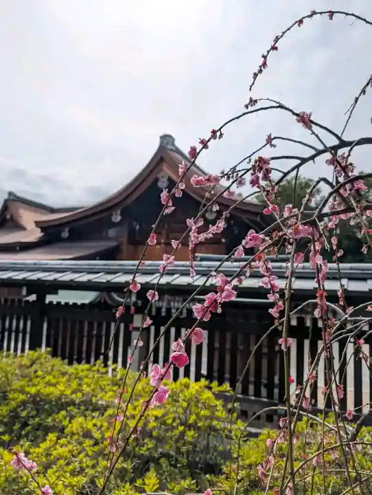 城南宮の{uncategorized: "未分類", other: "その他", undefined: "問題あり", building: "その他建物", grave: "お墓", sacred_gate: "鳥居", guardian: "狛犬", statue: "像", buddha: "仏像", history: "歴史", nature: "自然", garden: "庭園", animal: "動物", pagoda: "塔", temizu: "手水舎", mountain_gate: "山門・神門", sanctuary: "本殿・本堂", subordinate: "末社・摂社", art: "芸術", scenery: "景色", jizo: "地蔵", ema: "絵馬", goshuin: "御朱印", omikuji: "おみくじ", items: "授与品その他", amulet: "お守り", goshuincho: "御朱印帳", eats: "食事", festival: "お祭り", votive_dance: "神楽", shichigosan: "七五三参", wedding: "結婚式", experience: "体験その他", initially: "初詣", around: "周辺", anti_infection: "感染症対策"}