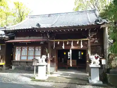 高知八幡宮の本殿・本堂
