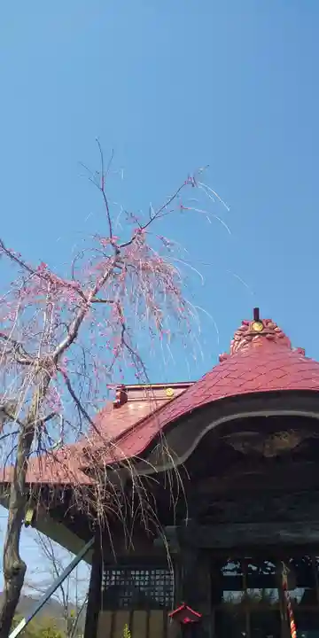 大鏑神社の本殿・本堂