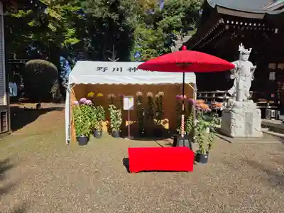 野川神明社(神奈川県)