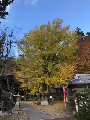 正法寺のその他建物