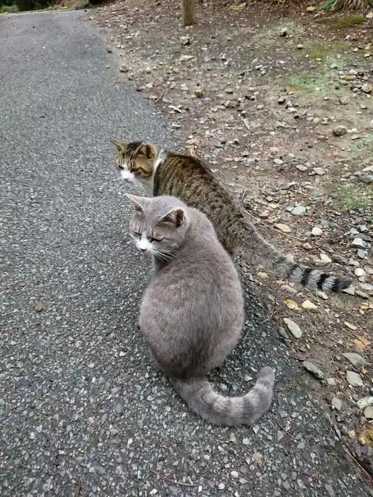 唐澤山神社の動物