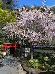 長谷寺(神奈川県)