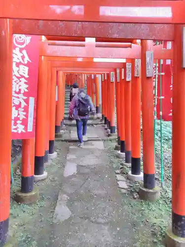 佐助稲荷神社の鳥居