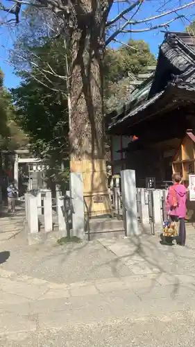 田無神社(東京都)