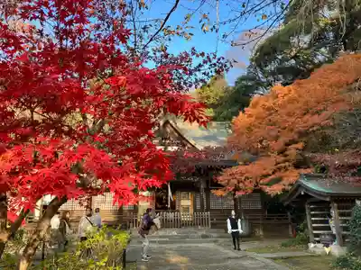 本土寺(千葉県)
