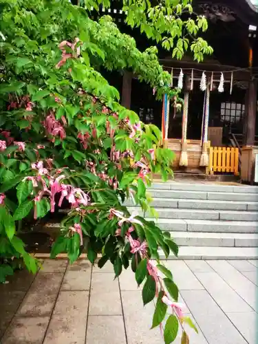 桜神宮(東京都)