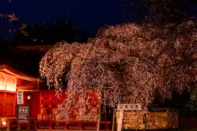 富士山本宮浅間大社(静岡県)