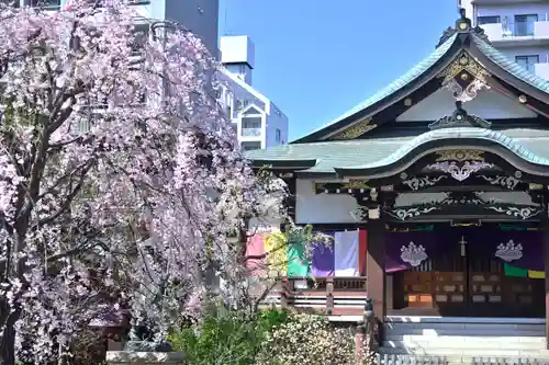 福傳寺(東京都)