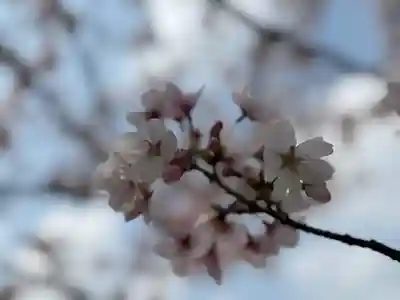 西方山極楽寺(岐阜県)