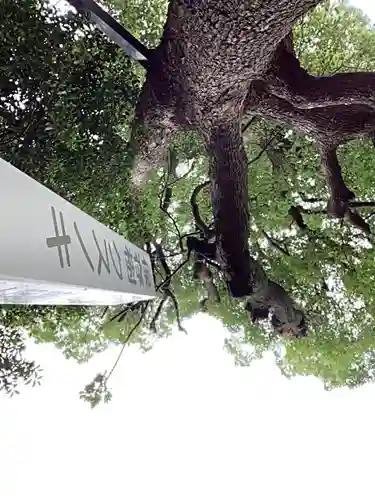大井神社（如意）の自然