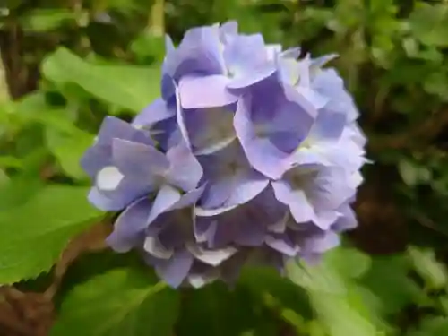 鈴鹿明神社(神奈川県)