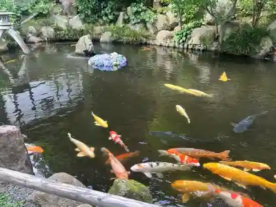 楽法寺（雨引観音）(茨城県)