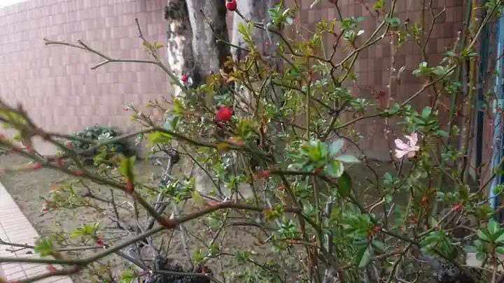 神明社(国府宮神明社)の周辺