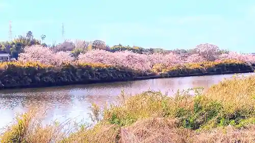 厳島神社(片葉の弁天)の周辺