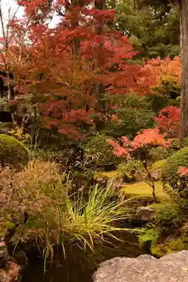 天授庵(京都府)