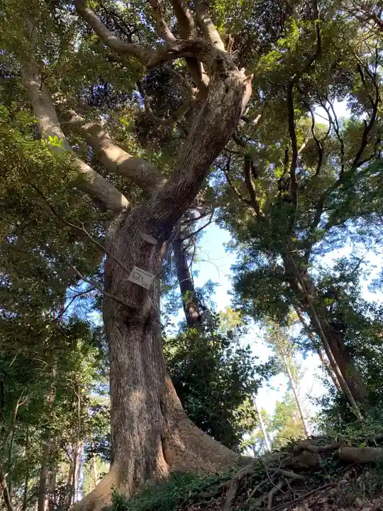 三作神社の自然