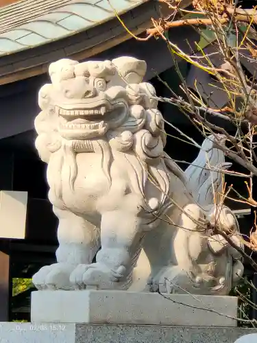 神楽坂若宮八幡神社の狛犬