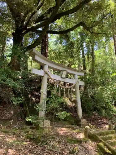 諏訪神社の鳥居