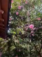 王子神社(東京都)