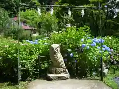 鷲子山上神社の狛犬