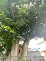 火防稲荷大明神の自然