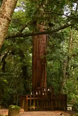 八重垣神社(島根県)