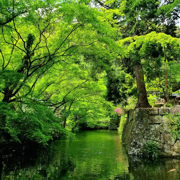 八幡神社松平東照宮(愛知県)