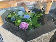 尊永寺の手水