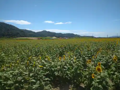道通神社の周辺