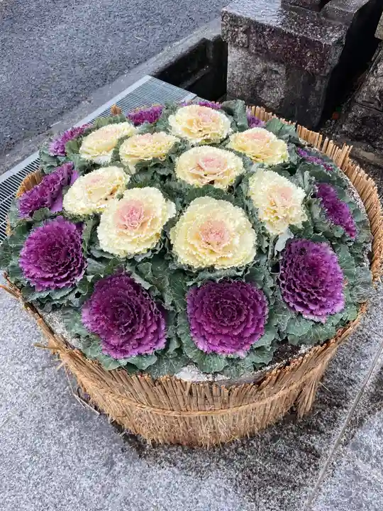美多彌神社(大阪府)