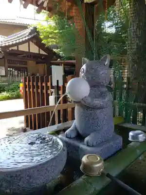 荻窪白山神社(東京都)