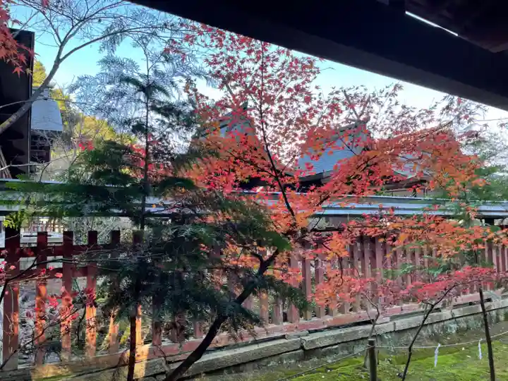 龍田大社の自然