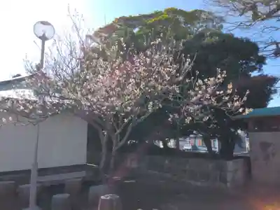 長徳寺(神奈川県)