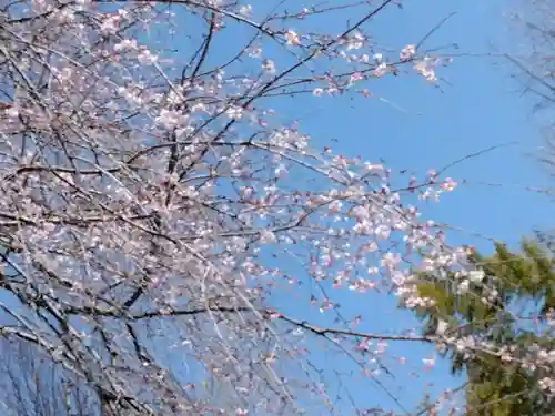相頓寺(埼玉県)