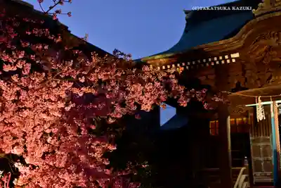 桜神宮(東京都)