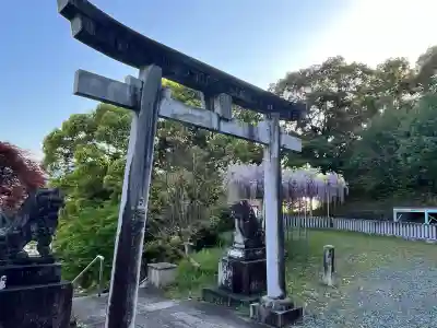 高野口八幡神社の{uncategorized: "未分類", other: "その他", undefined: "問題あり", building: "その他建物", grave: "お墓", sacred_gate: "鳥居", guardian: "狛犬", statue: "像", buddha: "仏像", history: "歴史", nature: "自然", garden: "庭園", animal: "動物", pagoda: "塔", temizu: "手水舎", mountain_gate: "山門・神門", sanctuary: "本殿・本堂", subordinate: "末社・摂社", art: "芸術", scenery: "景色", jizo: "地蔵", ema: "絵馬", goshuin: "御朱印", omikuji: "おみくじ", items: "授与品その他", amulet: "お守り", goshuincho: "御朱印帳", eats: "食事", festival: "お祭り", votive_dance: "神楽", shichigosan: "七五三参", wedding: "結婚式", experience: "体験その他", initially: "初詣", around: "周辺", anti_infection: "感染症対策"}